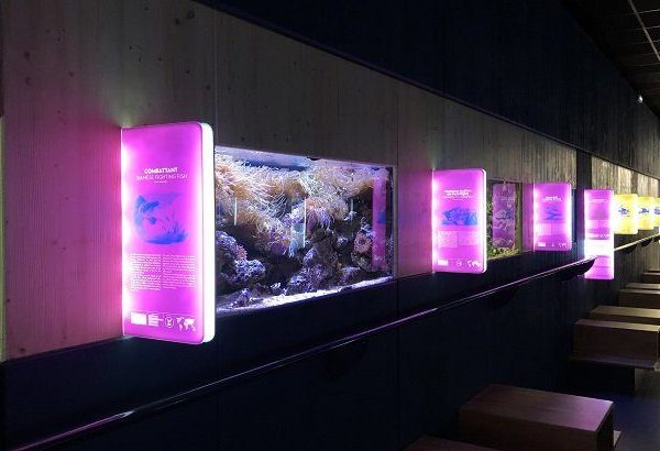 Musée aquarium de Nancy